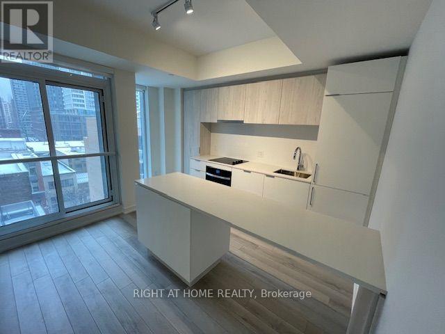 806 - 89 Church Street, Toronto, Ontario  M5C 2G3 - Photo 10 - C14091960