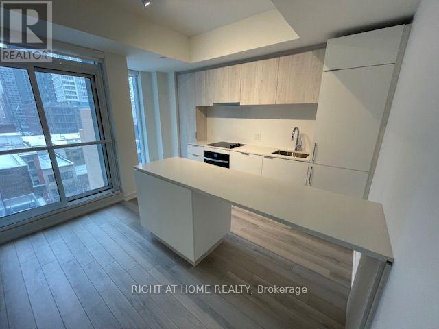 806 - 89 Church Street, Toronto, Ontario  M5C 2G3 - Photo 9 - C14091960