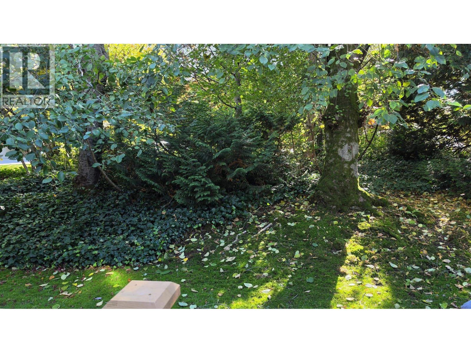 3444 Copeland Avenue, Vancouver, British Columbia  V5S 4B6 - Photo 7 - R3176406
