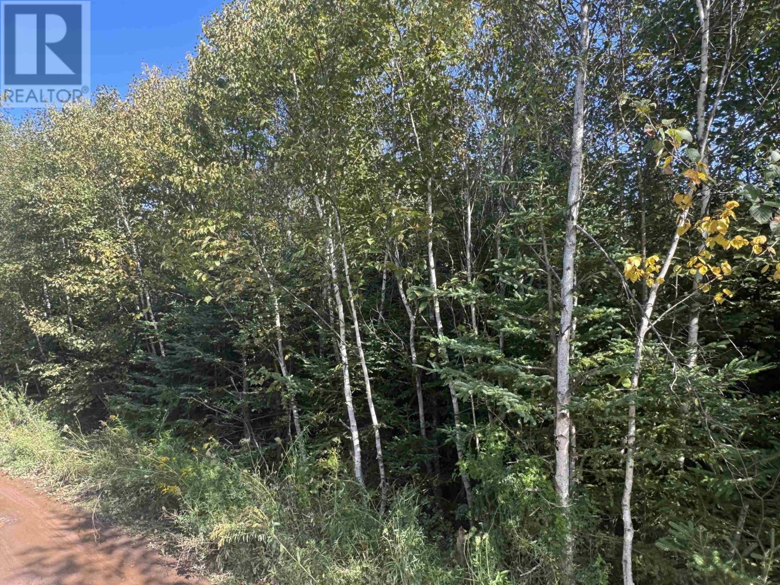 W-17 Cove View Road, West Covehead, Prince Edward Island  C0A 1P0 - Photo 17 - 202623243