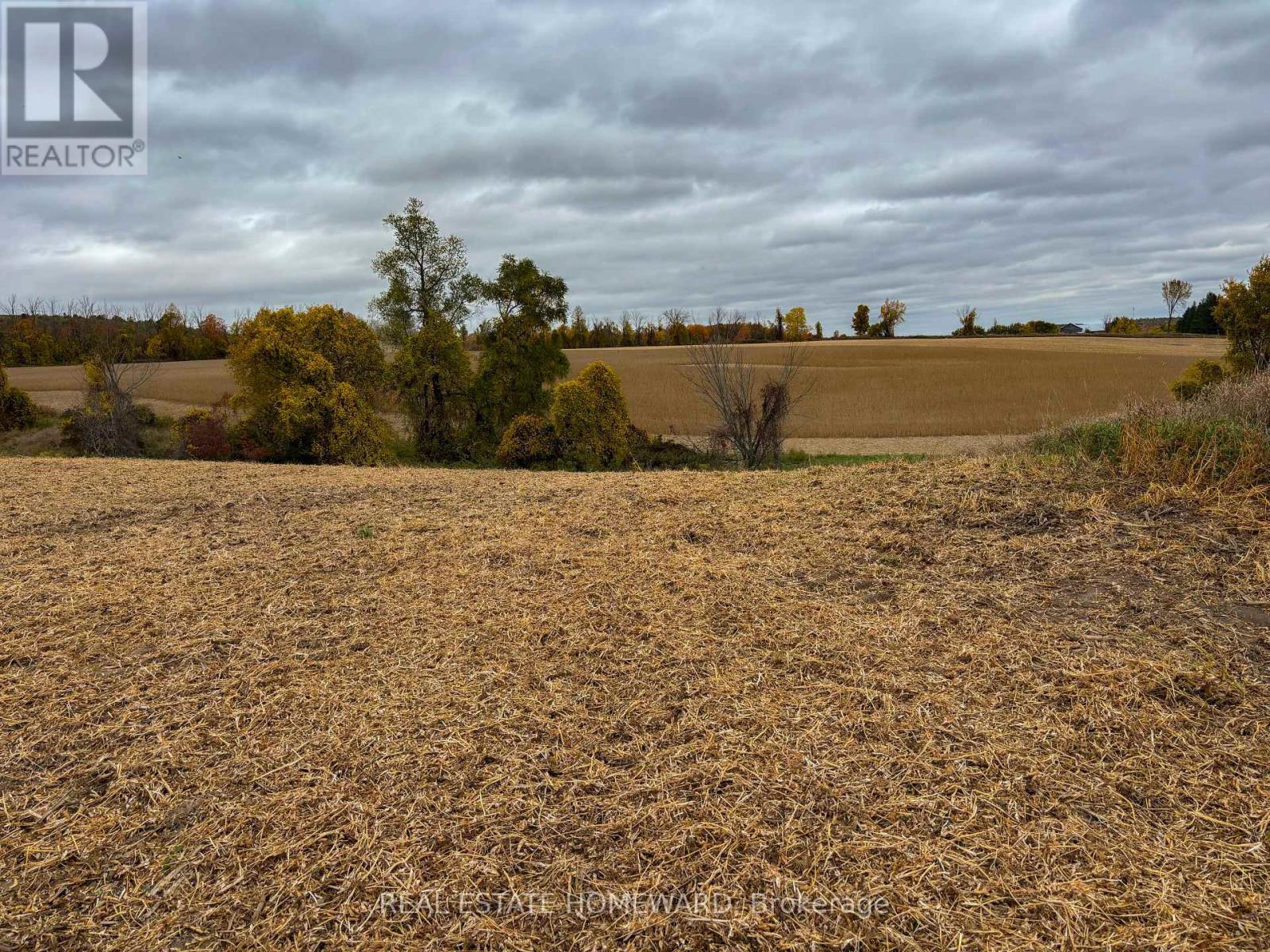 937082 Airport Road W, Mulmur, Ontario  L9V 0L6 - Photo 11 - X13607006