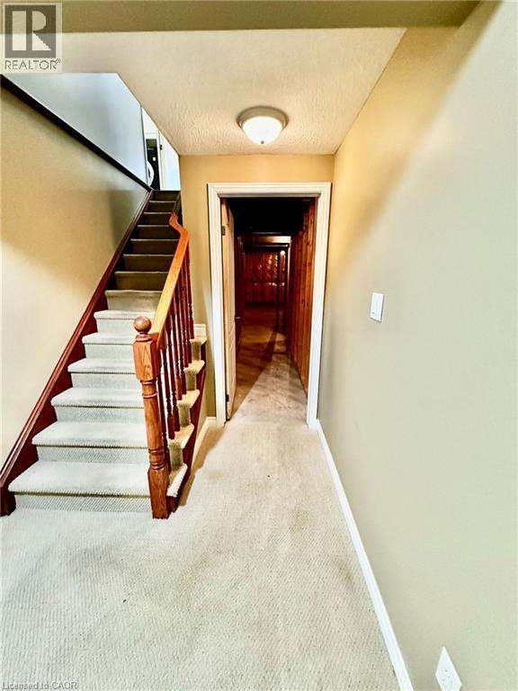 11 Carmichael Trail, Ancaster, Ontario  L9K 0A1 - Photo 32 - 40866664