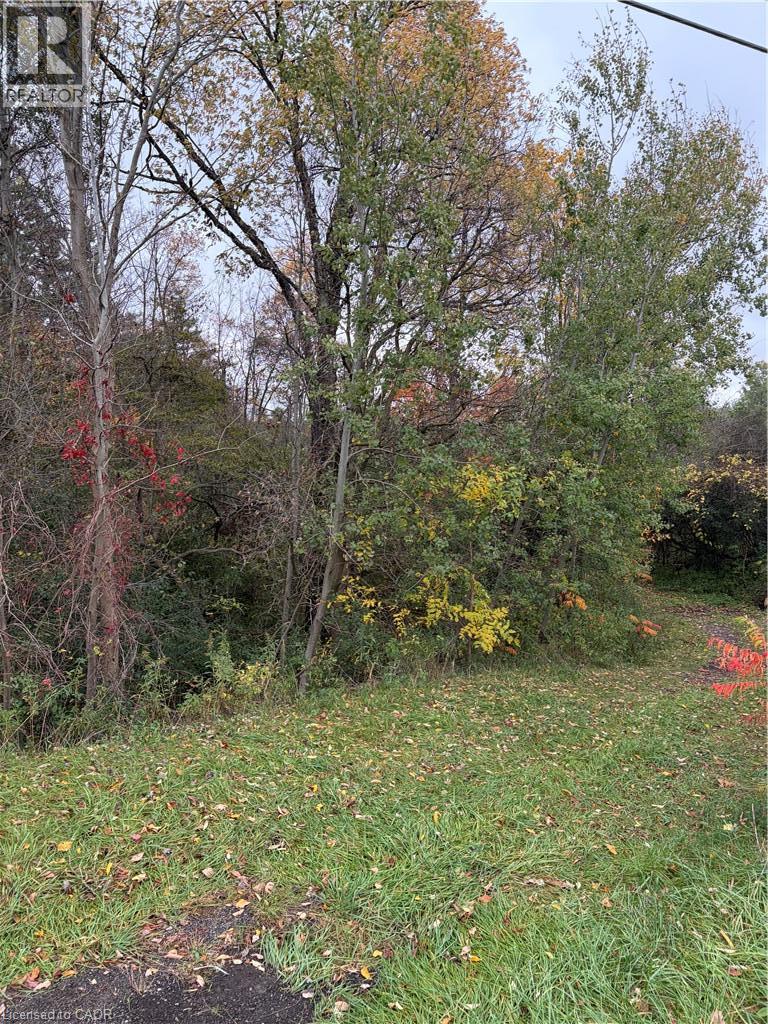 Pt Lot 27 Cedar Creek Concession, North Dumfries, Ontario  N1R 5S3 - Photo 3 - 40871582