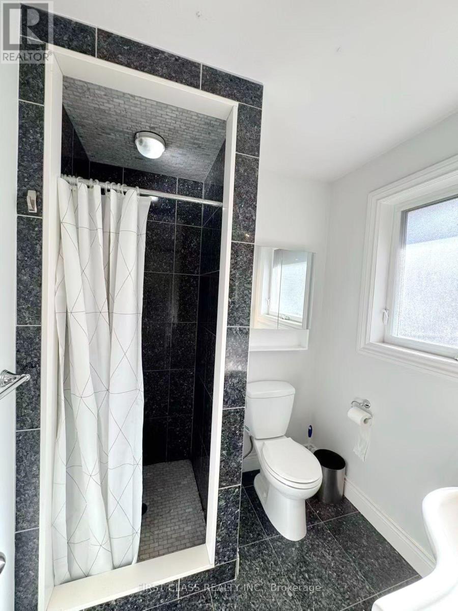 202 Goddard Street, Toronto, Ontario  M3H 5E6 - Photo 22 - C14092154