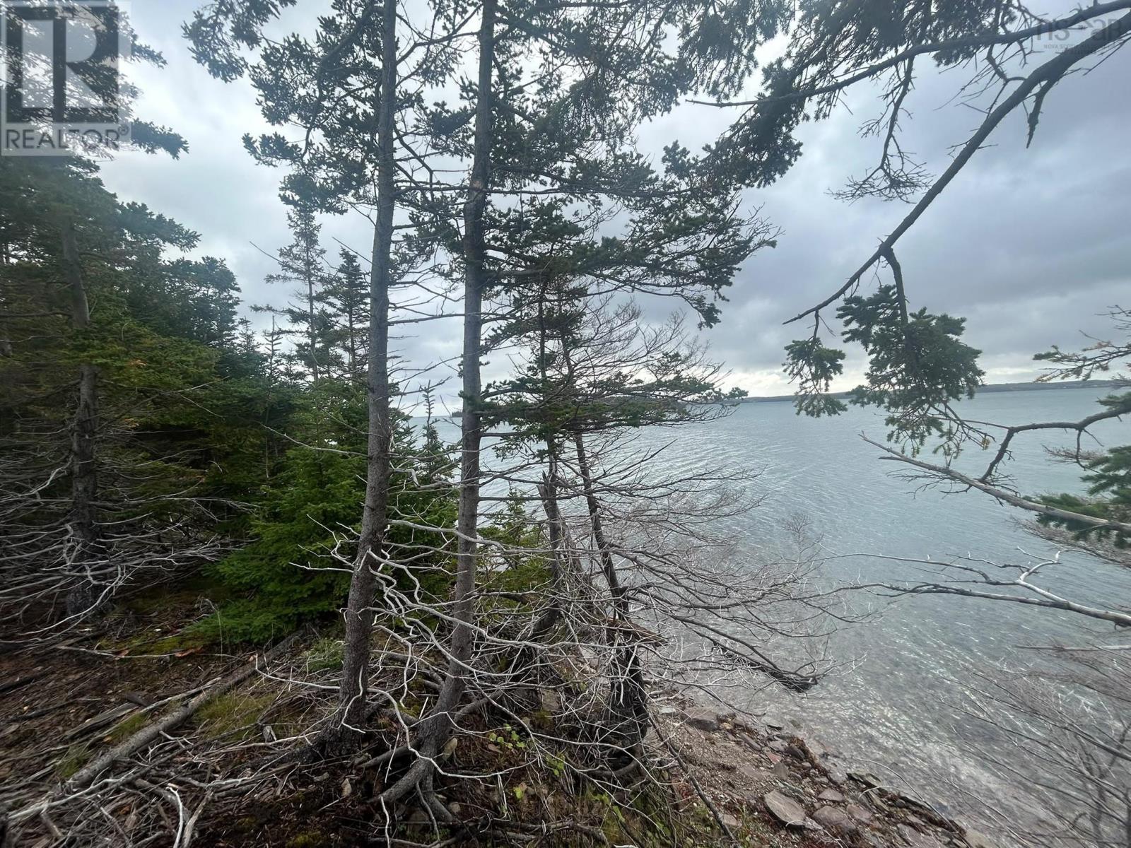 Mariner Way, South River Bourgeois, Nova Scotia  B0E 2X0 - Photo 10 - 202625934