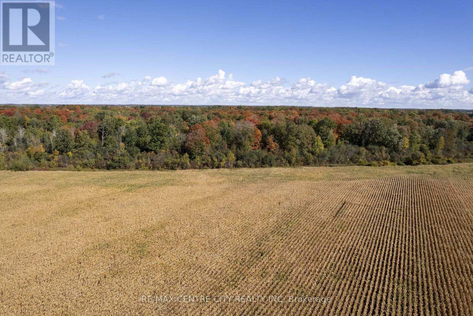20952 Rebecca Road, Thames Centre, Ontario  N0M 2P0 - Photo 10 - X14092234