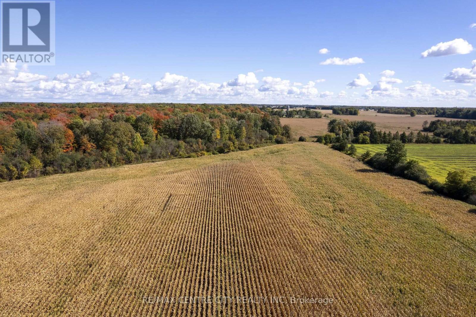 20952 Rebecca Road, Thames Centre, Ontario  N0M 2P0 - Photo 11 - X14092234