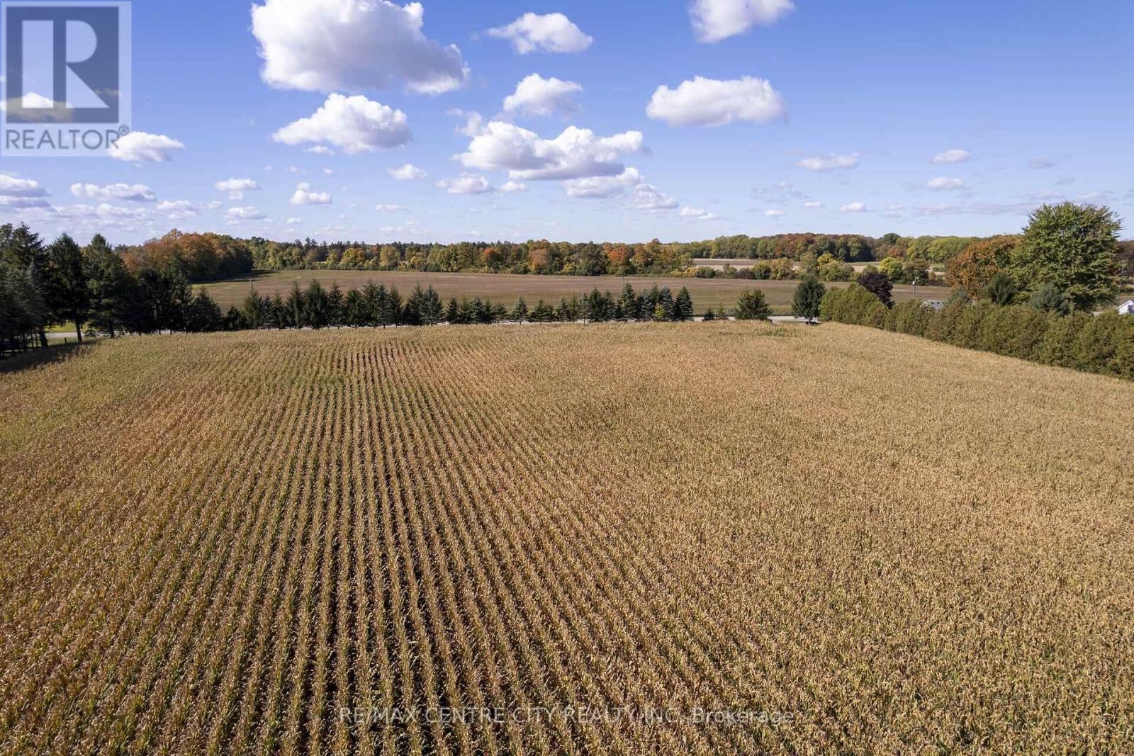 20952 Rebecca Road, Thames Centre, Ontario  N0M 2P0 - Photo 12 - X14092234
