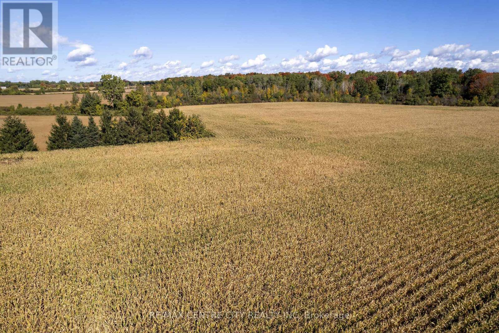 20952 Rebecca Road, Thames Centre, Ontario  N0M 2P0 - Photo 6 - X14092234