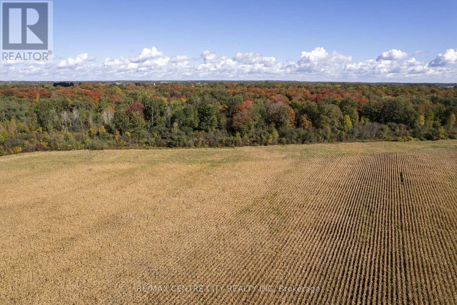 20952 Rebecca Road, Thames Centre, Ontario  N0M 2P0 - Photo 7 - X14092234