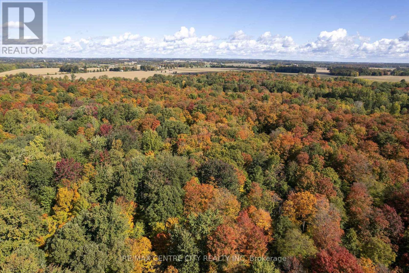 20952 Rebecca Road, Thames Centre, Ontario  N0M 2P0 - Photo 9 - X14092234