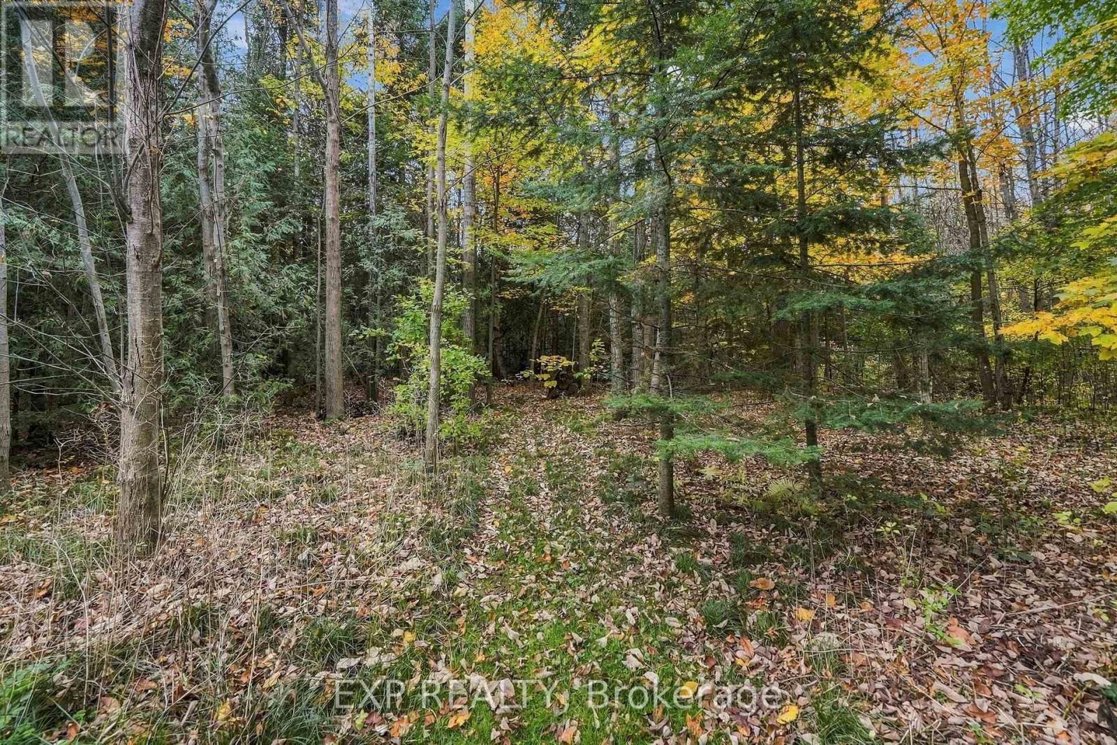 49 Blue Heron Drive, Mono, Ontario  L9W 5K5 - Photo 44 - X14092242