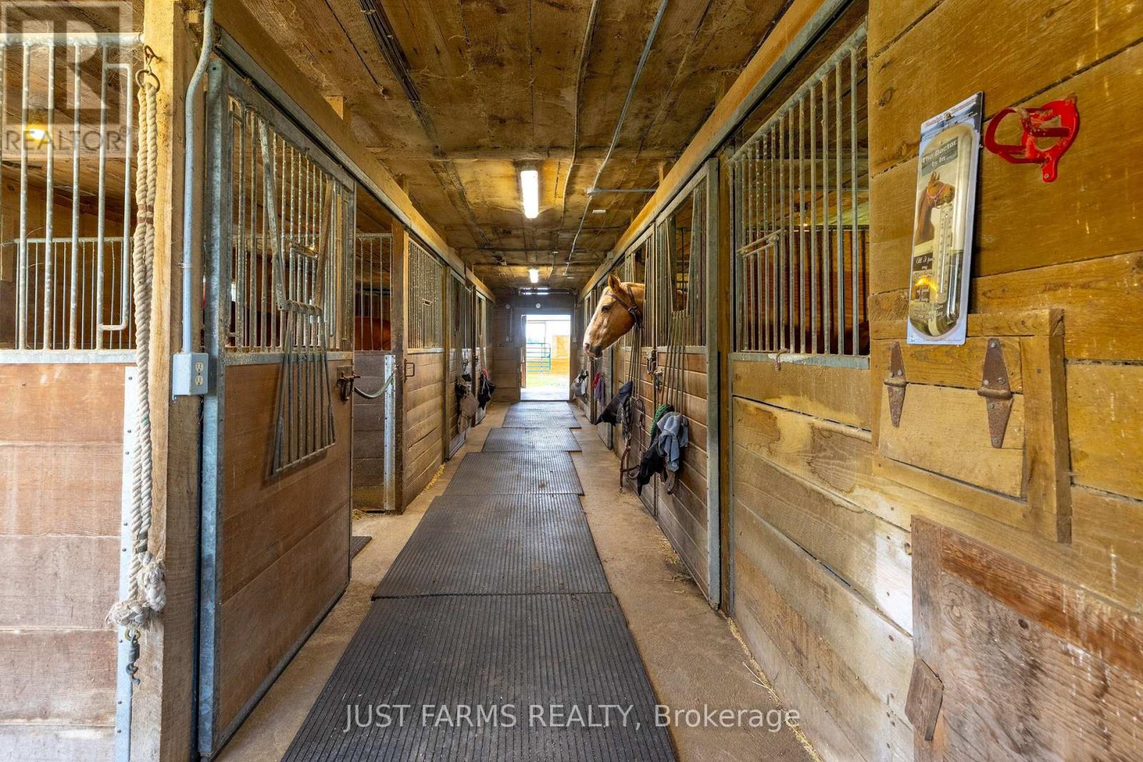 21846 Muncey Road, Strathroy-Caradoc, Ontario  N0L 1W0 - Photo 8 - X14092280