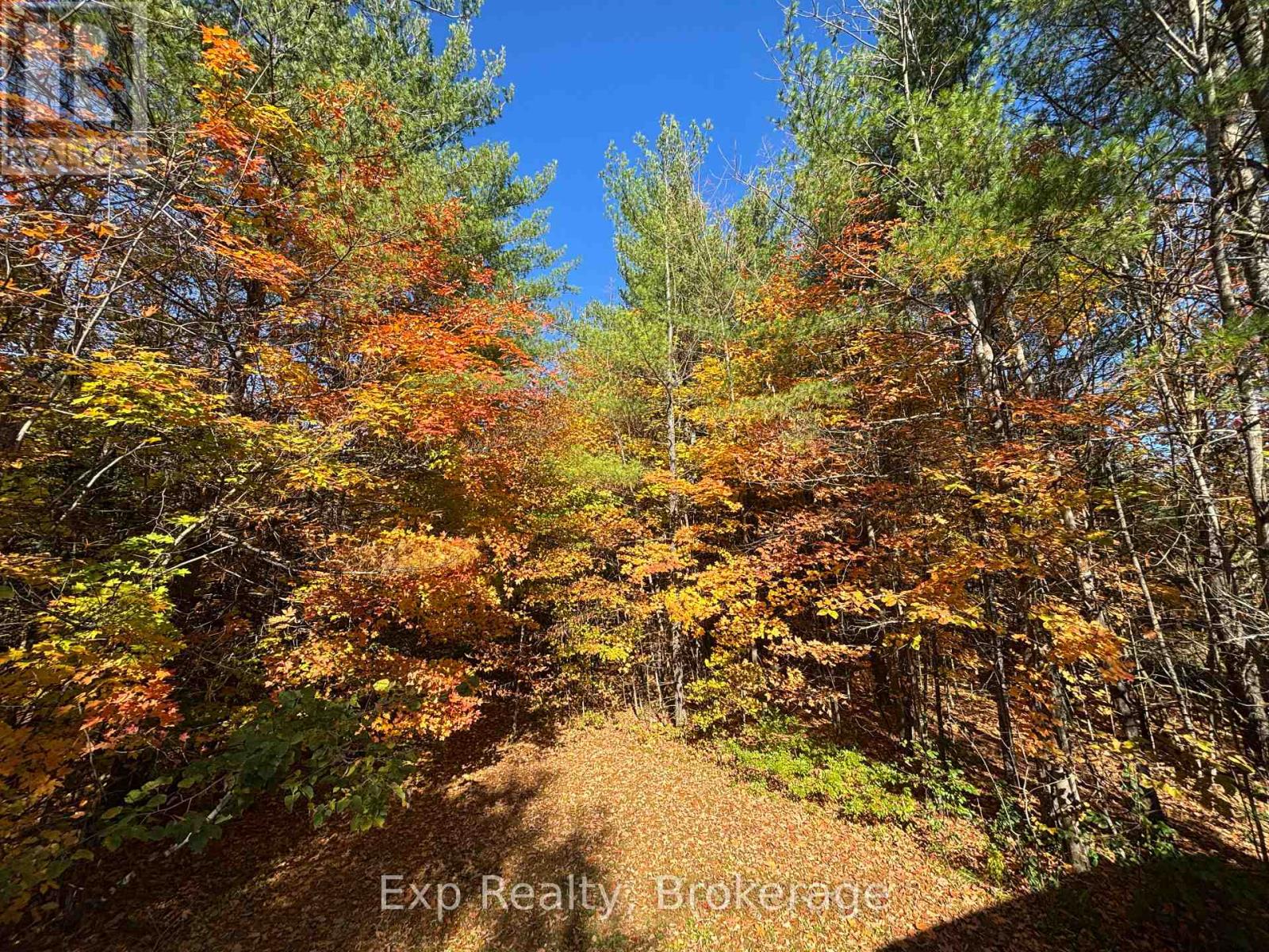 794 Pinegrove Road, Greater Napanee, Ontario  K0K 2W0 - Photo 3 - X14092266