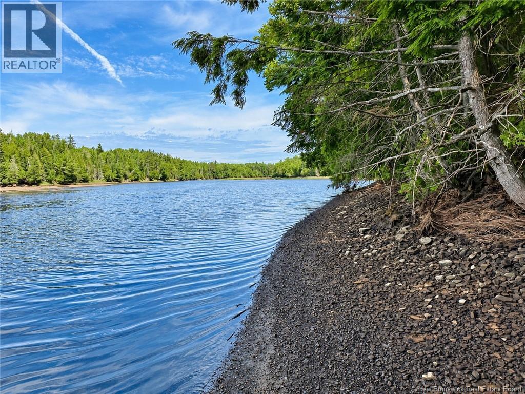 559 Bay Du Vin River Road, Bay Du Vin, New Brunswick  E1N 5P4 - Photo 27 - NB149888
