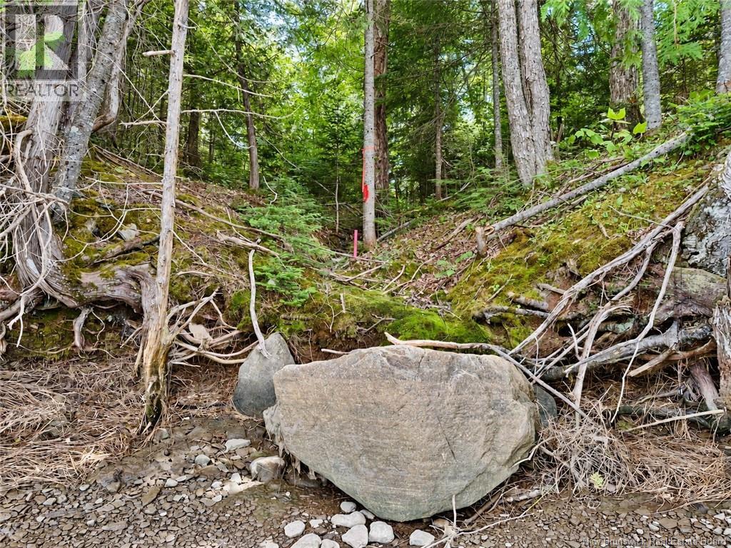 559 Bay Du Vin River Road, Bay Du Vin, New Brunswick  E1N 5P4 - Photo 36 - NB149888