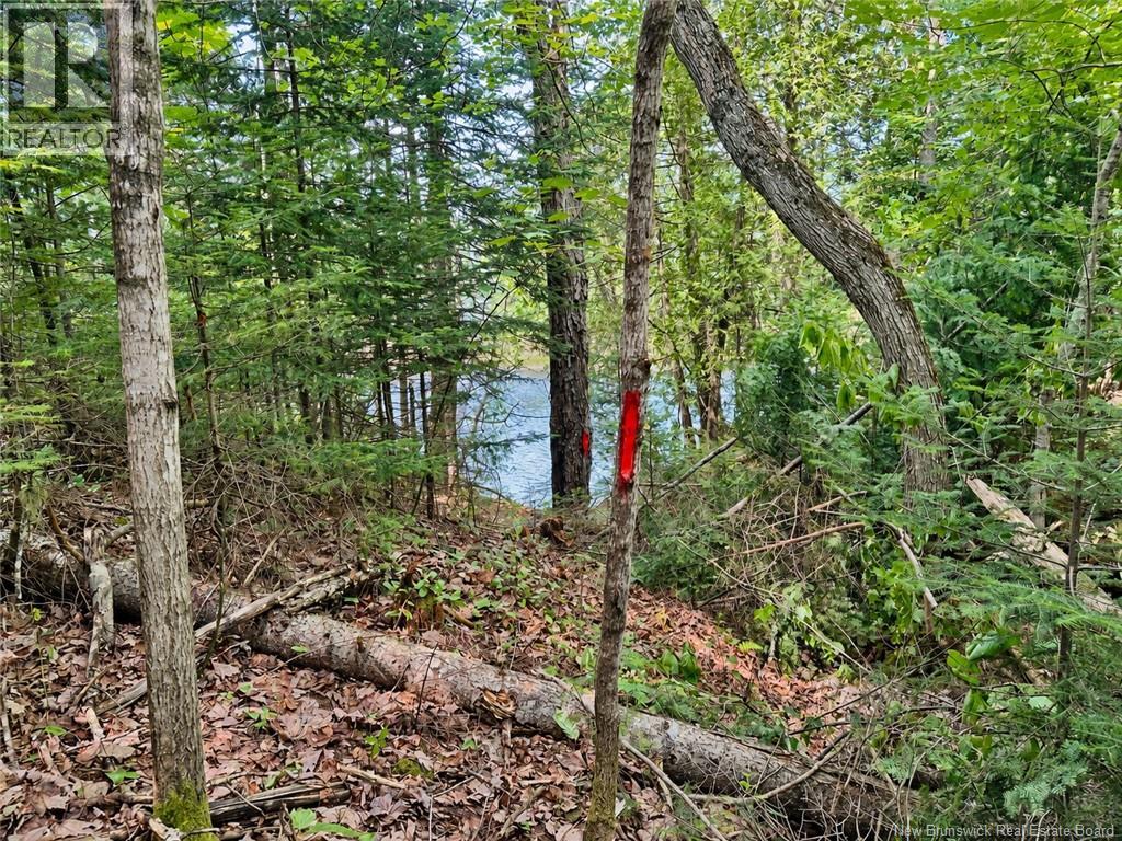 559 Bay Du Vin River Road, Bay Du Vin, New Brunswick  E1N 5P4 - Photo 34 - NB149888