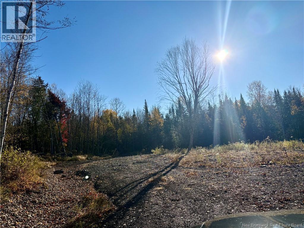 322 Route 617, Burtts Corner, New Brunswick  E6L 2S3 - Photo 13 - NB149557