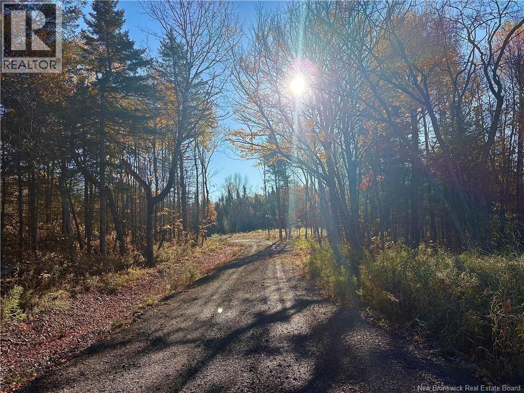 322 Route 617, Burtts Corner, New Brunswick  E6L 2S3 - Photo 11 - NB149557