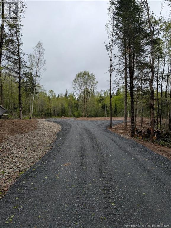 322 Route 617, Burtts Corner, New Brunswick  E6L 2S3 - Photo 15 - NB149557