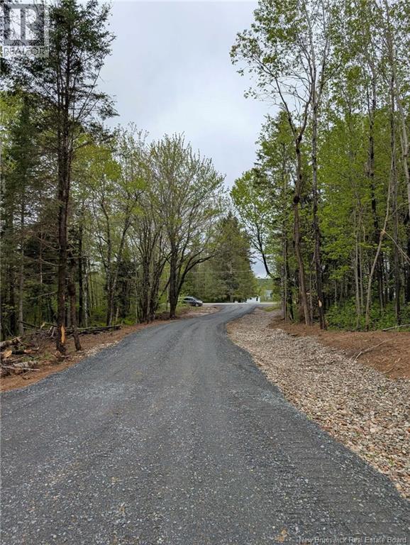 322 Route 617, Burtts Corner, New Brunswick  E6L 2S3 - Photo 16 - NB149557