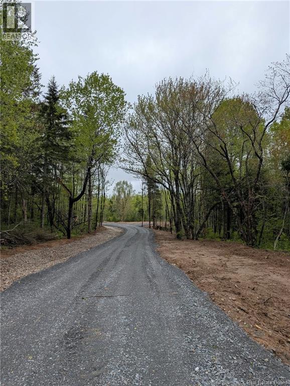 322 Route 617, Burtts Corner, New Brunswick  E6L 2S3 - Photo 18 - NB149557