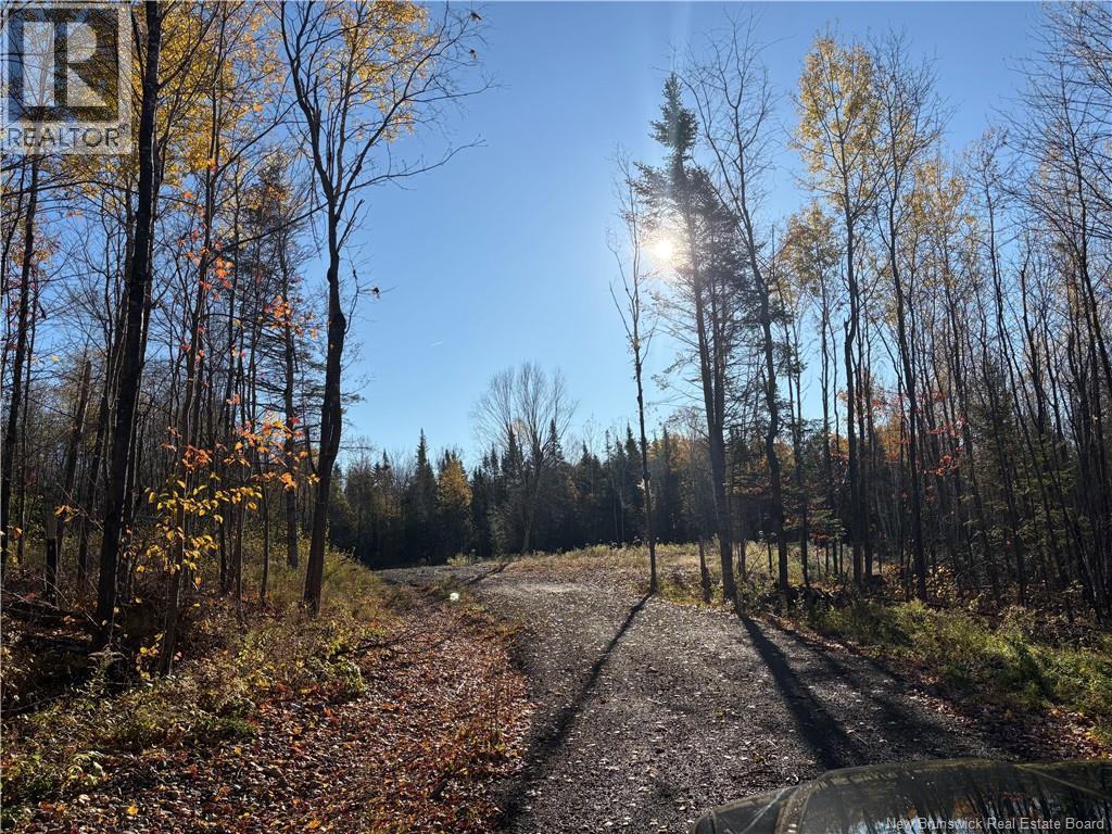 322 Route 617, Burtts Corner, New Brunswick  E6L 2S3 - Photo 14 - NB149557