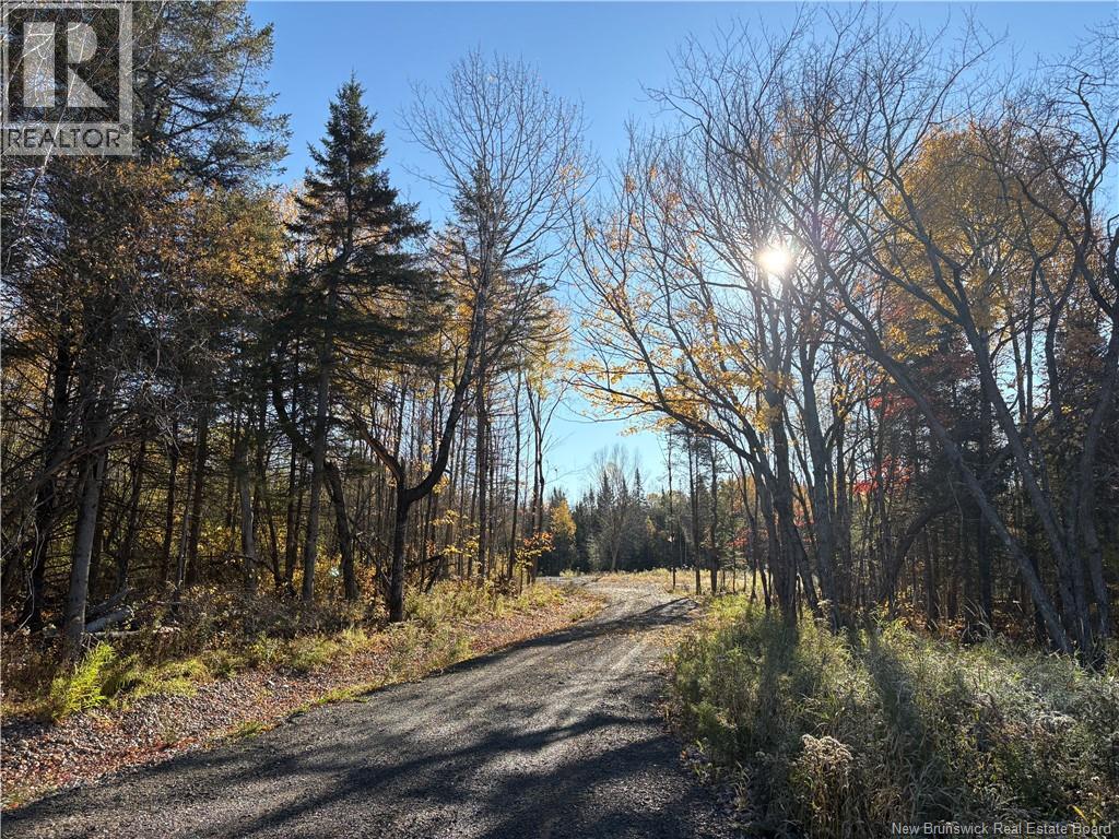 322 Route 617, Burtts Corner, New Brunswick  E6L 2S3 - Photo 12 - NB149557