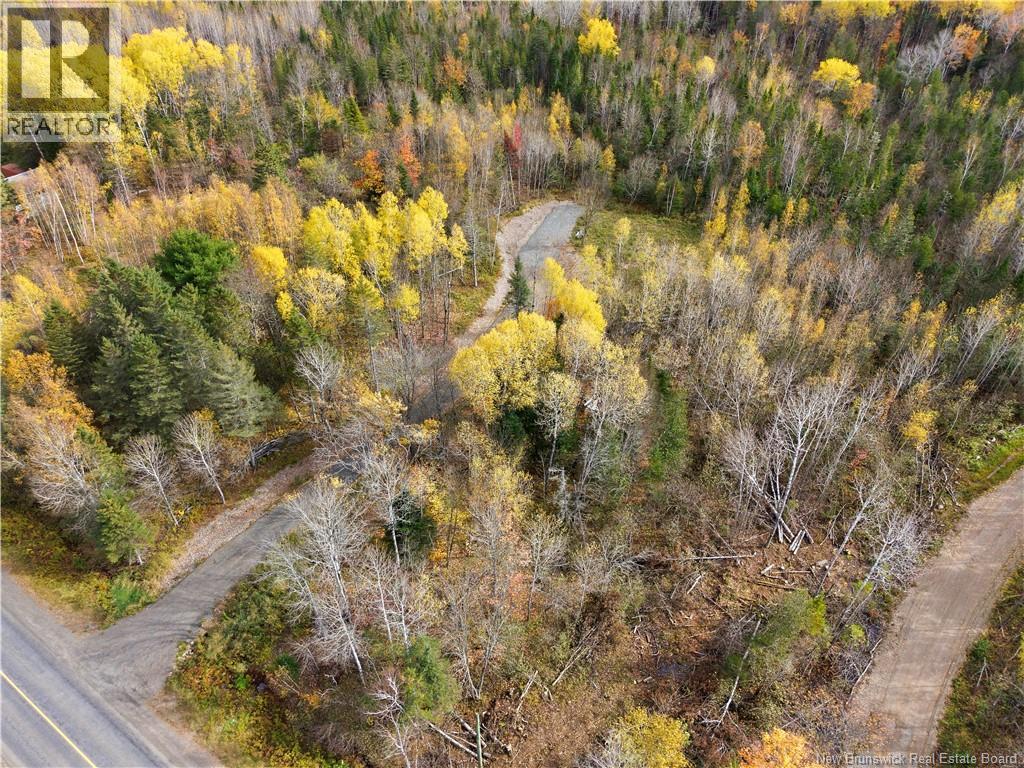 322 Route 617, Burtts Corner, New Brunswick  E6L 2S3 - Photo 4 - NB149557
