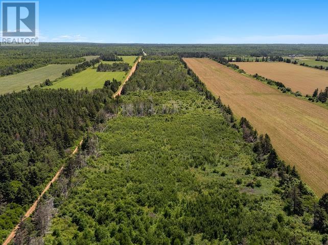 Acreage Bear Shore Road, St Margaret, Prince Edward Island  C0A 2B0 - Photo 5 - 202626113