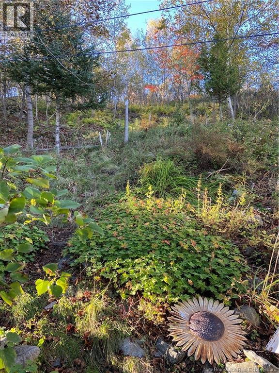 11 Rope Walk Road, Saint John, New Brunswick  E2K 2P9 - Photo 41 - NB149763