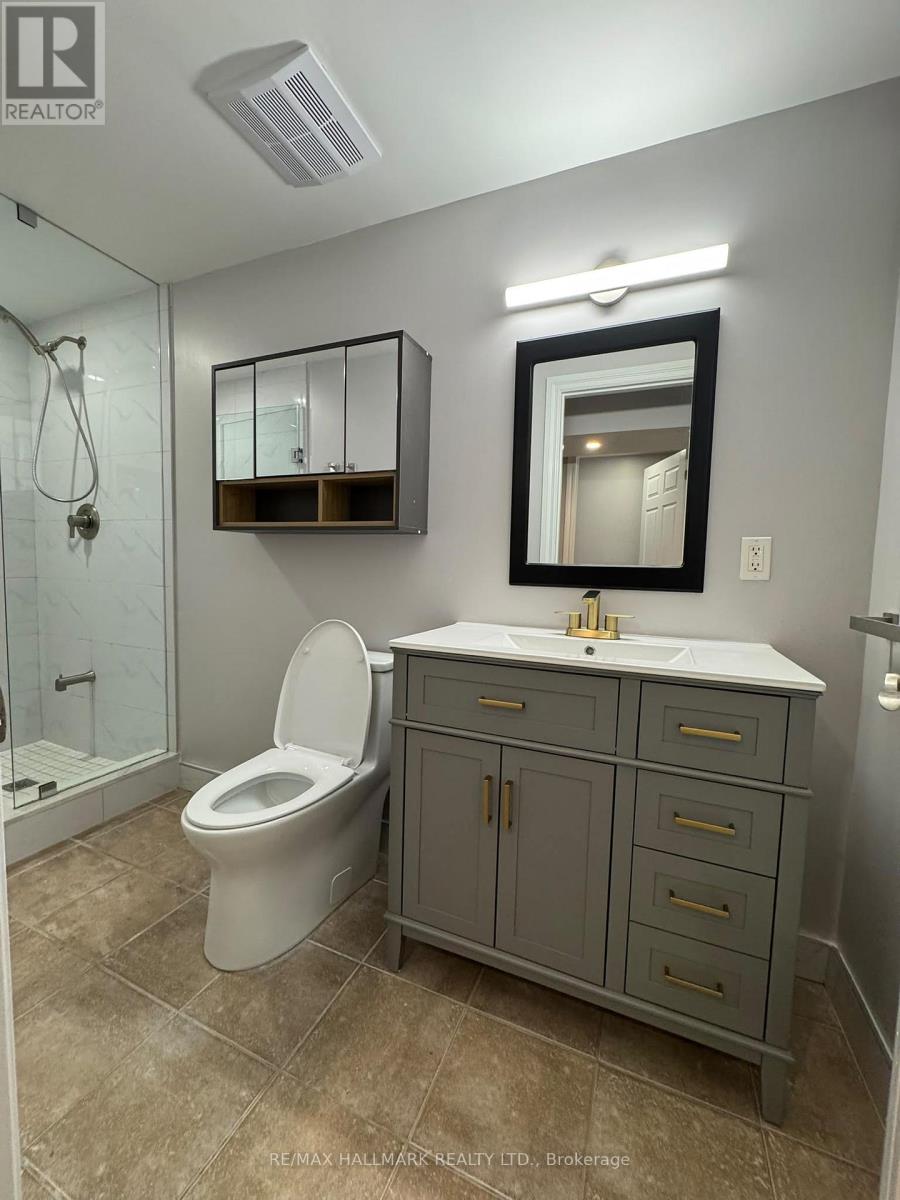 Basement - 39 Wood Rim Drive, Richmond Hill, Ontario  L4E 4S2 - Photo 11 - N13861016