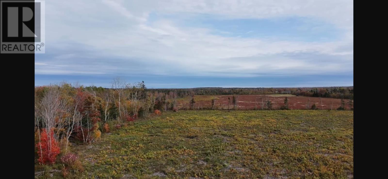 Acreage Old Lake Road, West St. Peters, Prince Edward Island  C0A 1S0 - Photo 6 - 202626123