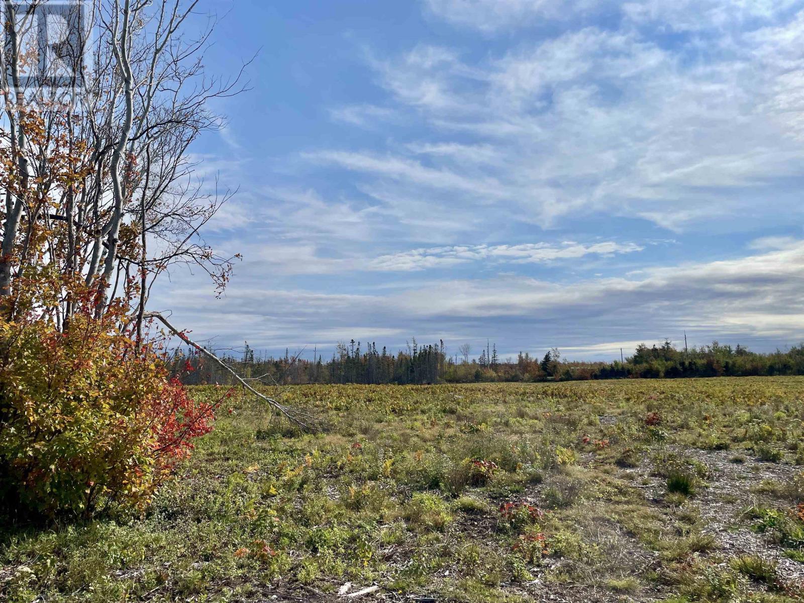 Acreage Old Lake Road, West St. Peters, Prince Edward Island  C0A 1S0 - Photo 8 - 202626123