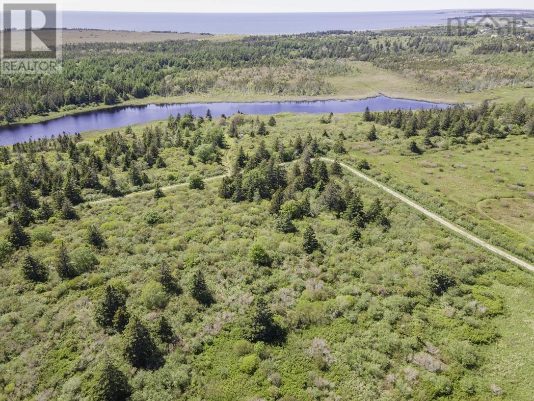 Lot 4 Talala Drive, Beaver River, Nova Scotia  B5A 5A5 - Photo 3 - 202602515