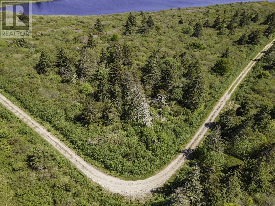 Lot 4 Talala Drive, Beaver River, Nova Scotia  B5A 5A5 - Photo 12 - 202602515