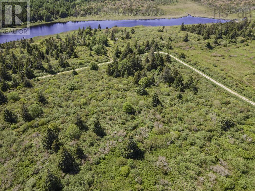 Lot 4 Talala Drive, Beaver River, Nova Scotia  B5A 5A5 - Photo 2 - 202602515