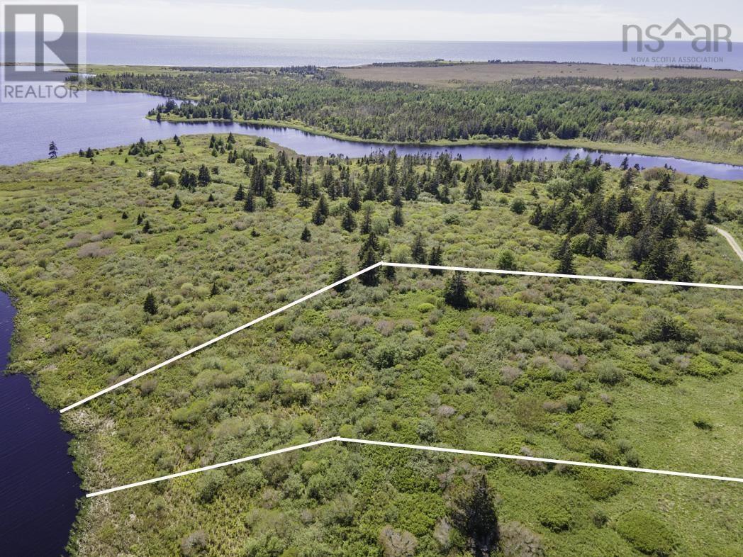 Lot 4 Talala Drive, Beaver River, Nova Scotia  B5A 5A5 - Photo 1 - 202602515