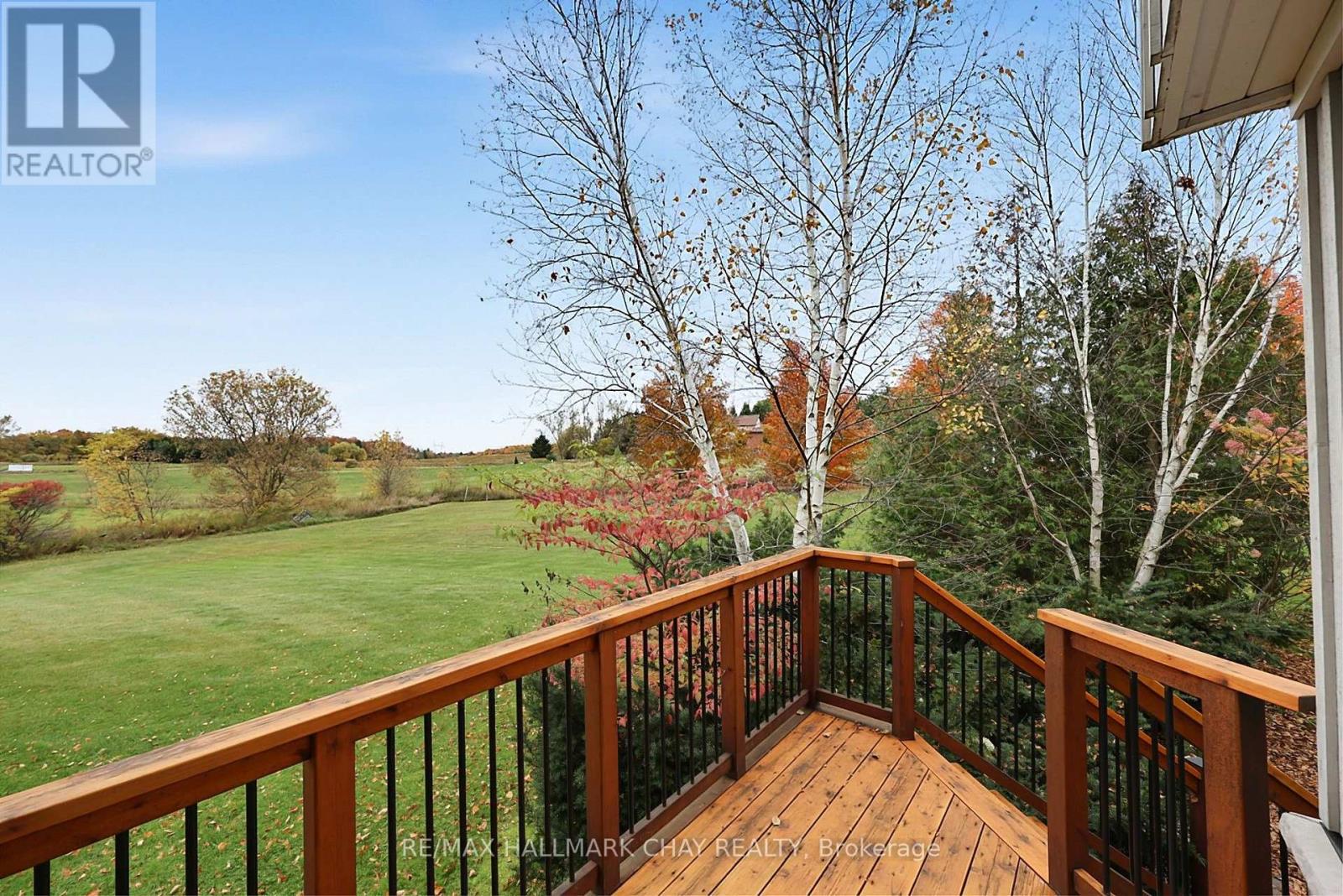 5424 3rd Line, New Tecumseth, Ontario  L0G 1W0 - Photo 15 - N14092770