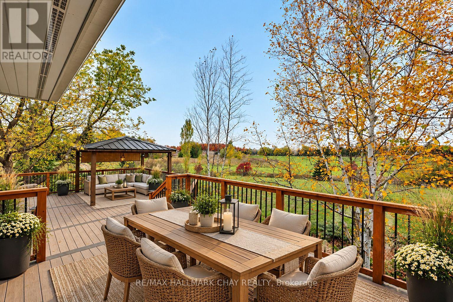 5424 3rd Line, New Tecumseth, Ontario  L0G 1W0 - Photo 24 - N14092770