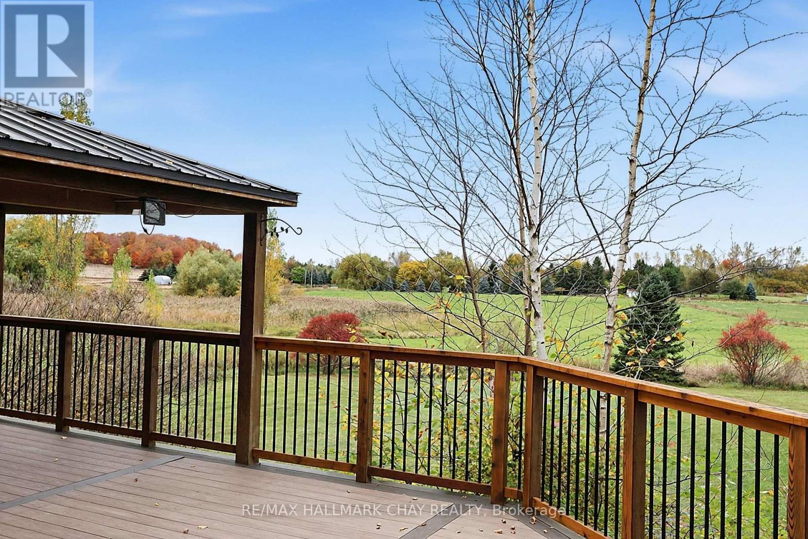 5424 3rd Line, New Tecumseth, Ontario  L0G 1W0 - Photo 26 - N14092770