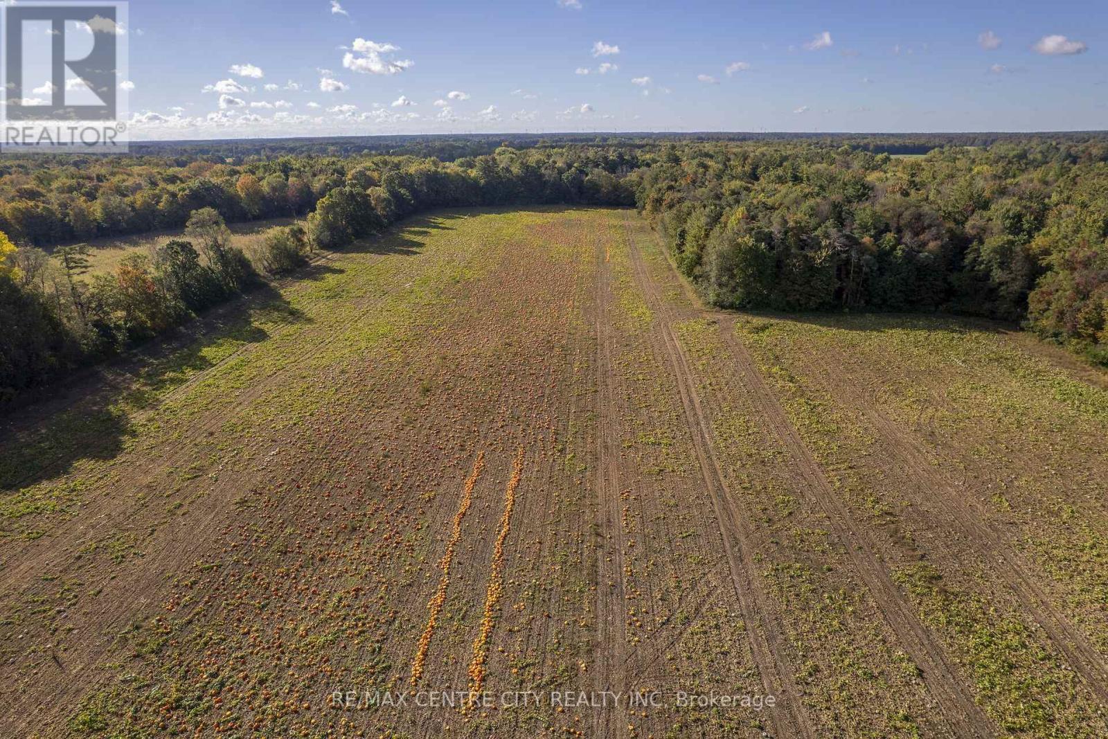 8916 Coyle Road, Bayham, Ontario  N4G 4G9 - Photo 20 - X14030170