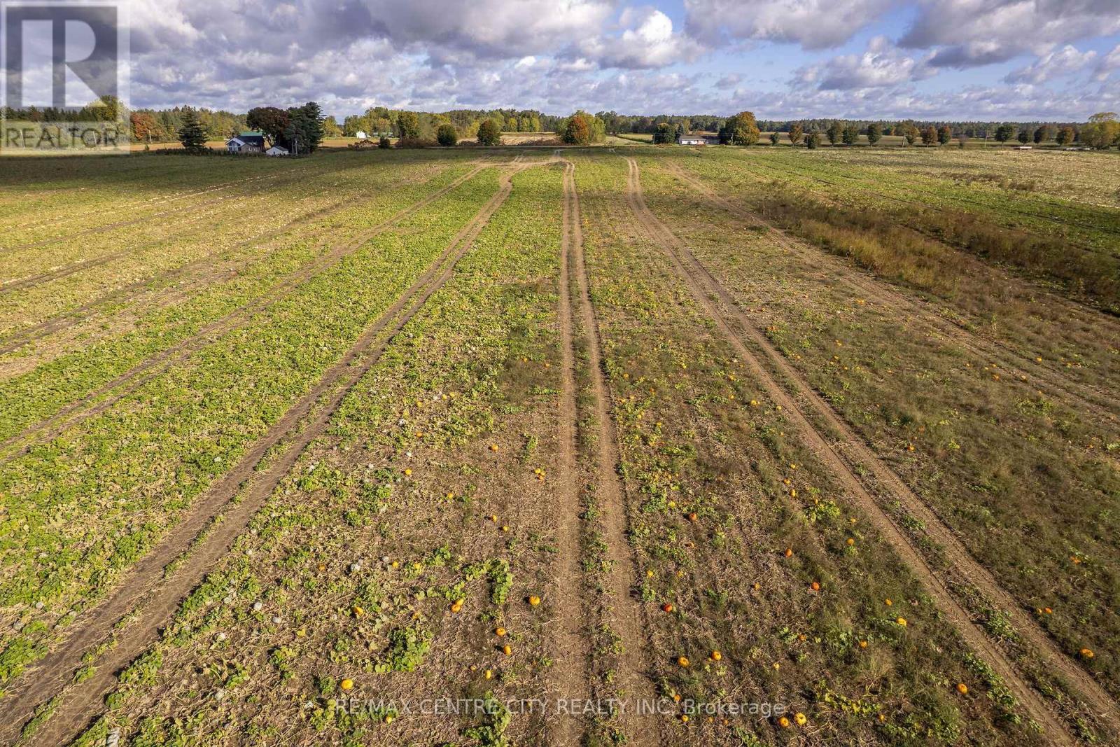 8916 Coyle Road, Bayham, Ontario  N4G 4G9 - Photo 24 - X14030170