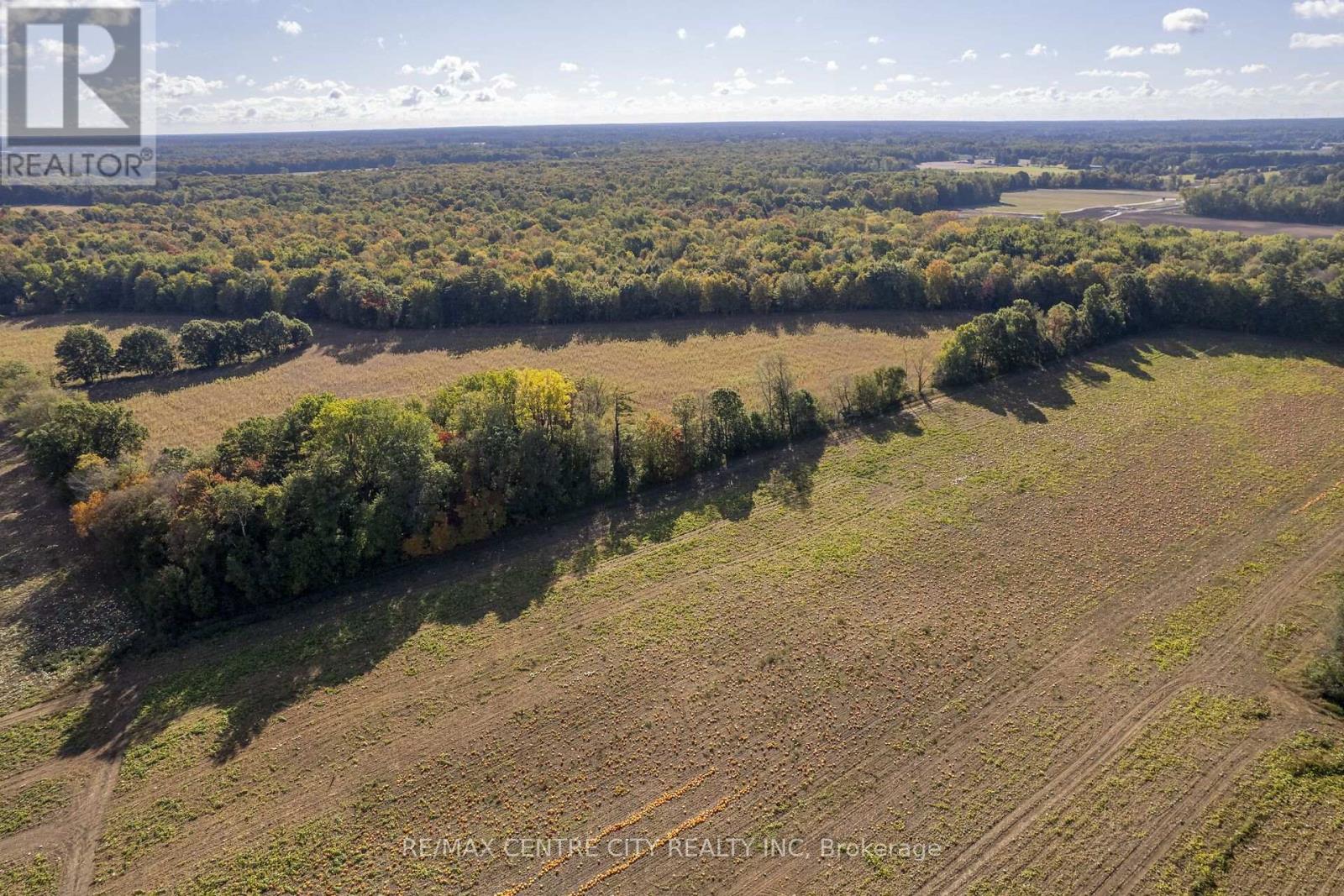 8916 Coyle Road, Bayham, Ontario  N4G 4G9 - Photo 12 - X14030170