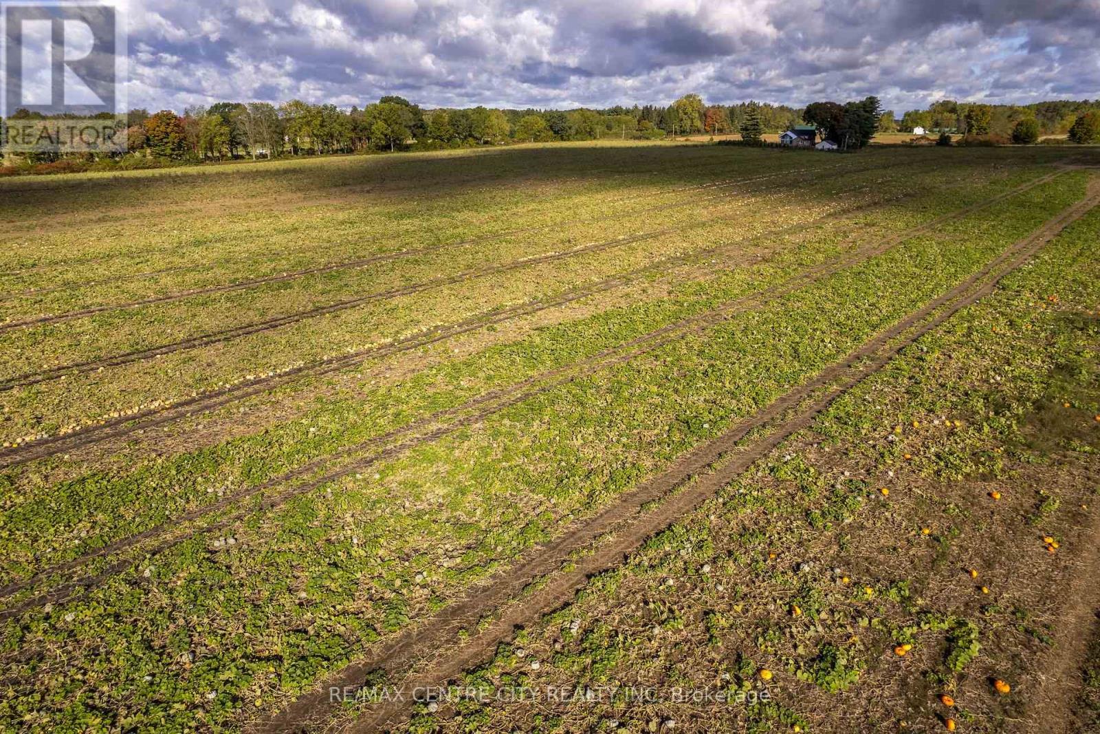 8916 Coyle Road, Bayham, Ontario  N4G 4G9 - Photo 25 - X14030170