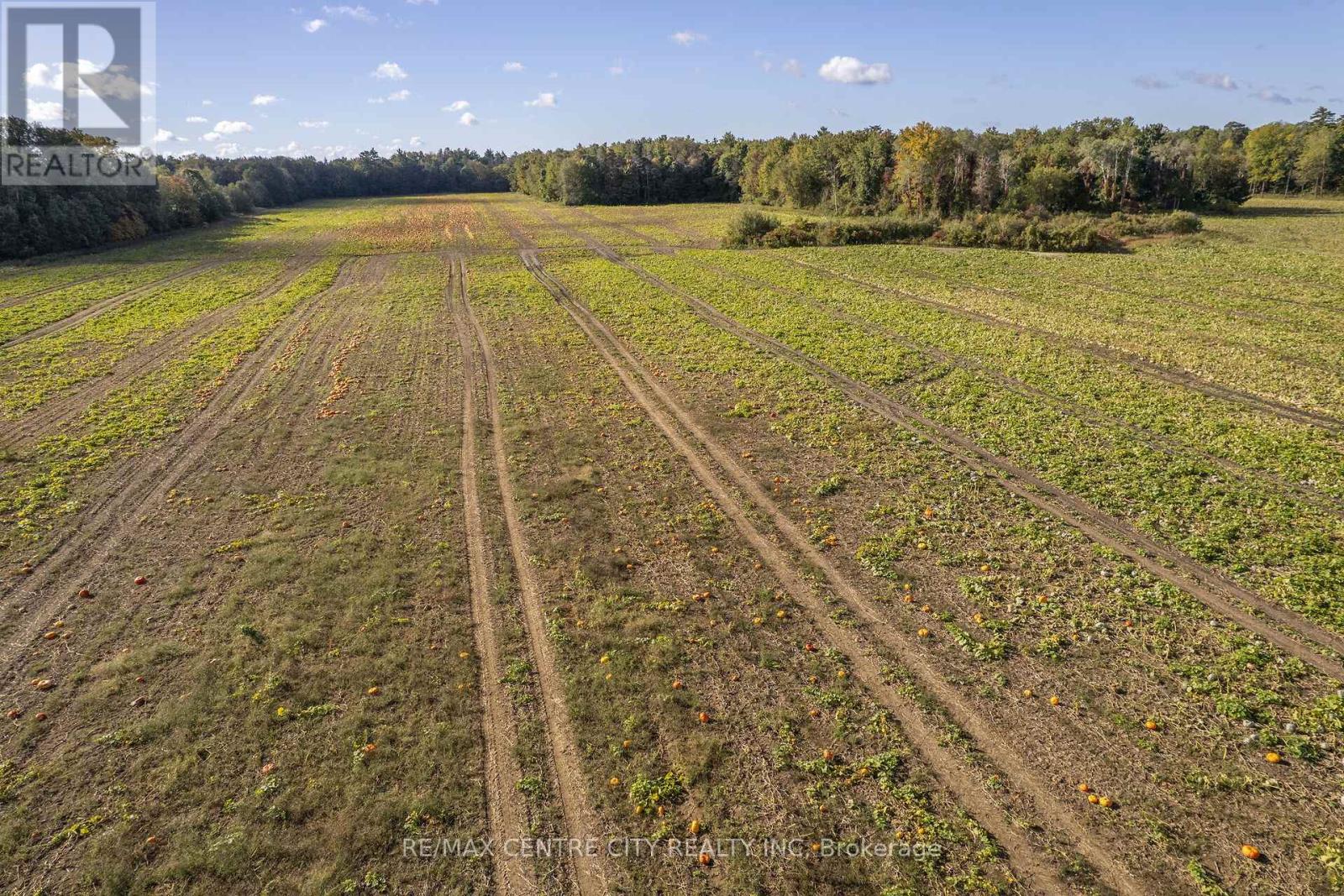 8916 Coyle Road, Bayham, Ontario  N4G 4G9 - Photo 27 - X14030170