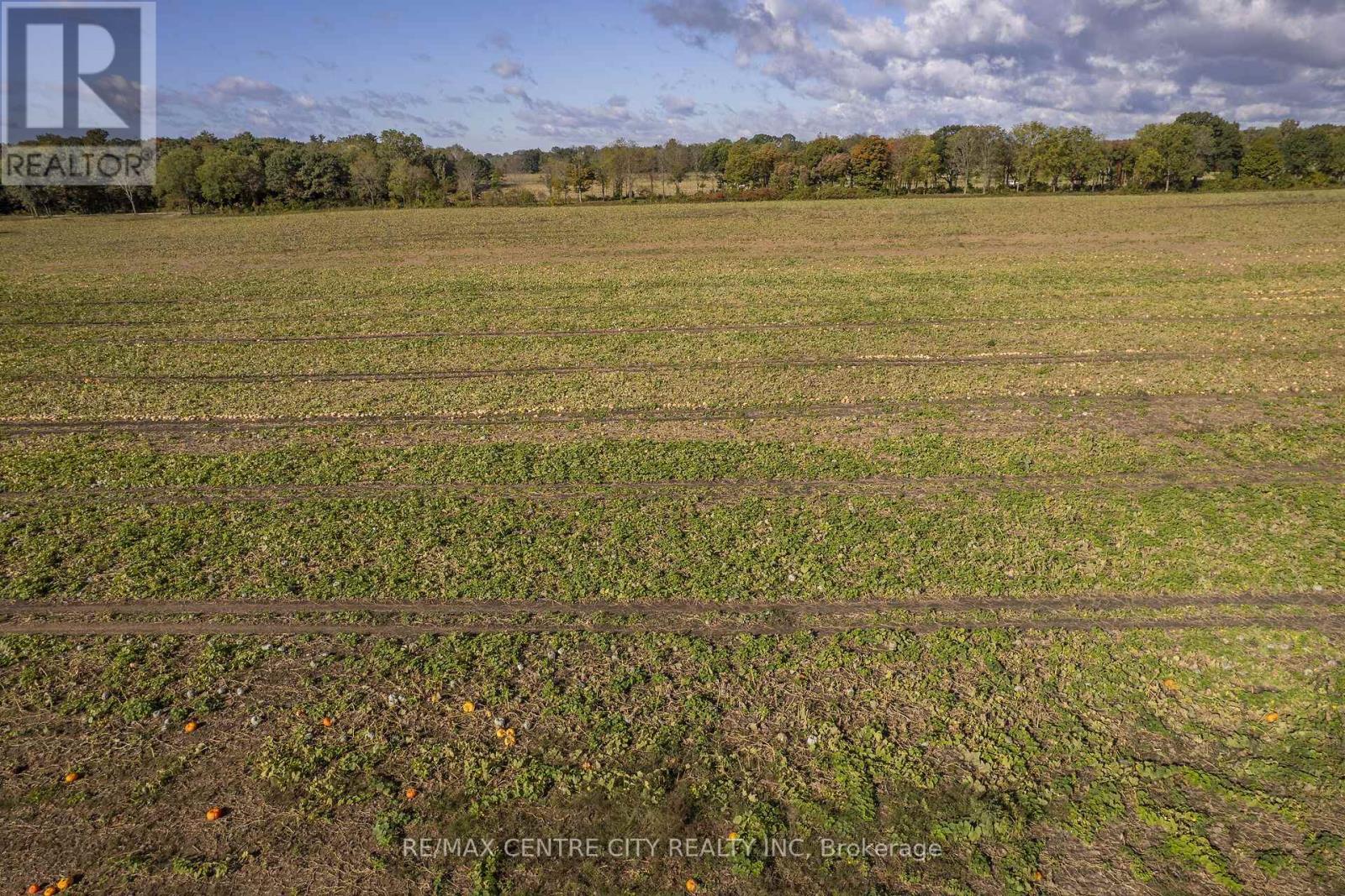 8916 Coyle Road, Bayham, Ontario  N4G 4G9 - Photo 26 - X14030170