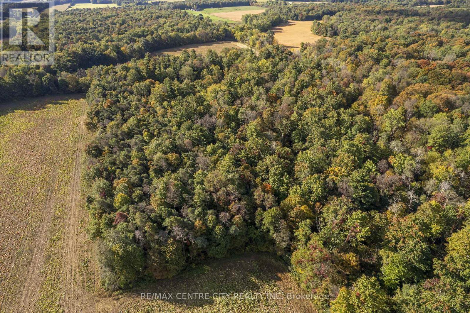 8916 Coyle Road, Bayham, Ontario  N4G 4G9 - Photo 30 - X14030170