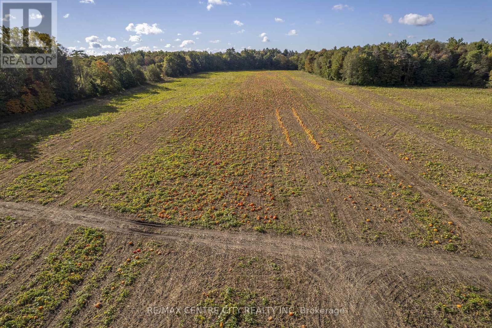 8916 Coyle Road, Bayham, Ontario  N4G 4G9 - Photo 28 - X14030170