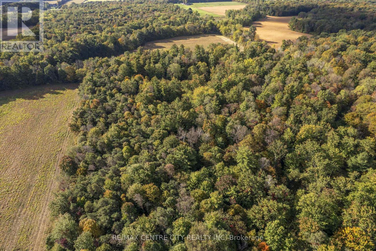 8916 Coyle Road, Bayham, Ontario  N4G 4G9 - Photo 31 - X14030170